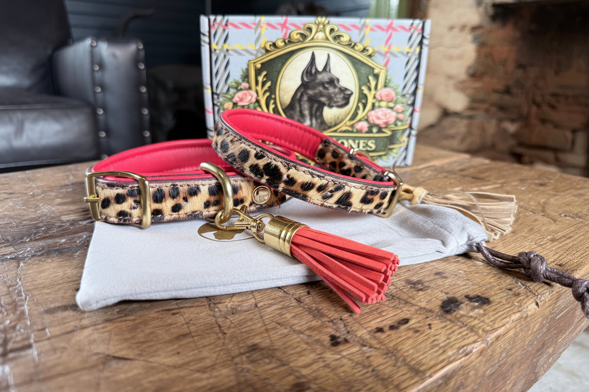 Valmont Collar — Leopard Hair-on-Hide Dog Collar with Red Leather & Tassel
